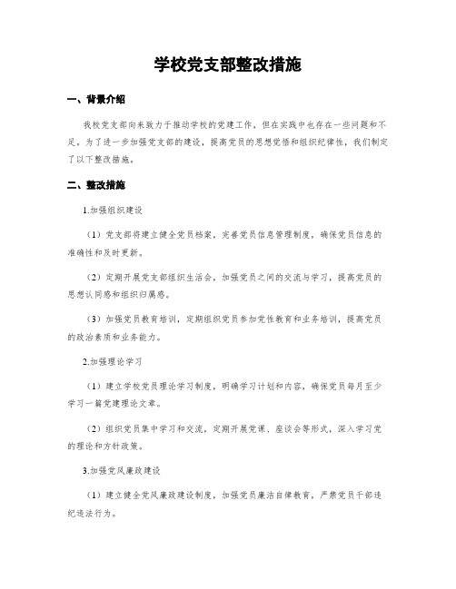 学校党支部整改措施