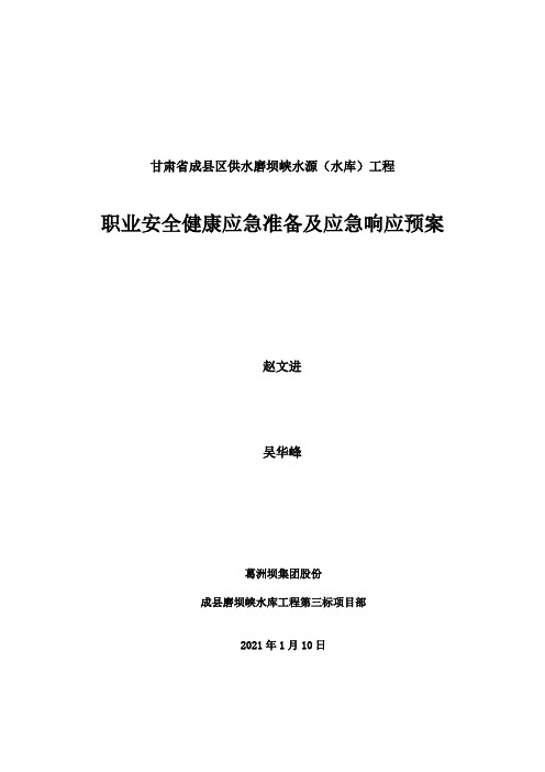 职业安全健康应急处置方案实用文档