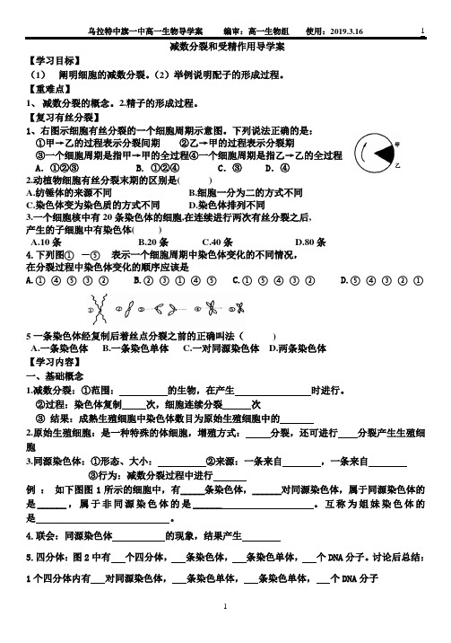 减数分裂和受精作用导学案