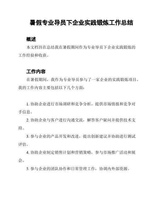 暑假专业导员下企业实践锻炼工作总结