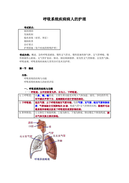 主管正副主任护师考试笔记--呼吸系统(1)