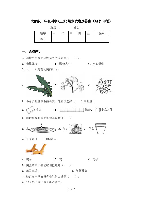 大象版一年级科学(上册)期末试卷及答案(A4打印版)