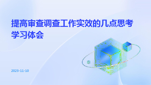 提高审查调查工作实效的几点思考学习体会