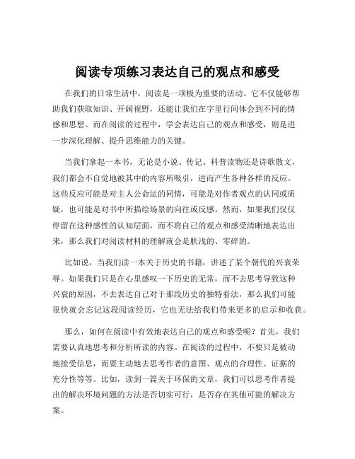 阅读专项练习表达自己的观点和感受