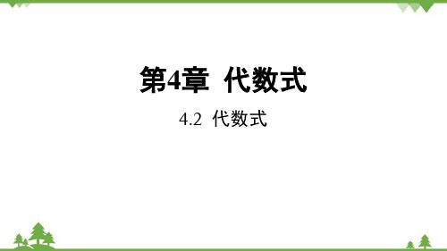 4.1.2 代数式 浙教版数学七年级上册课件