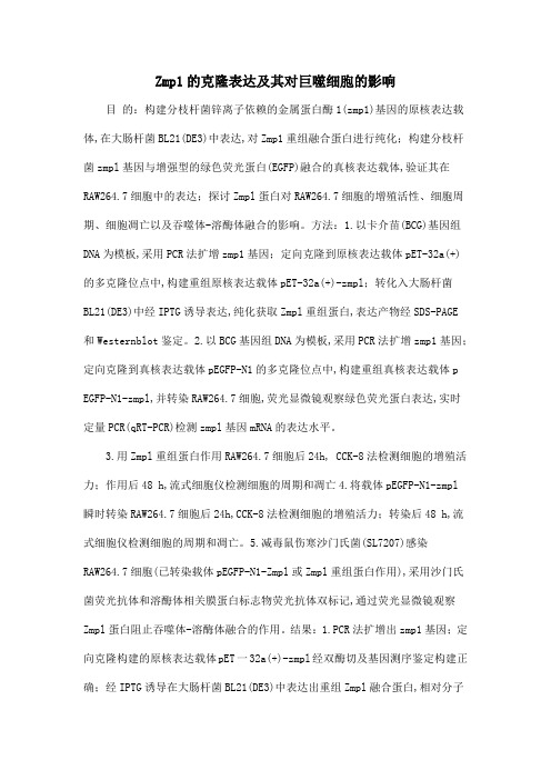 Zmp1的克隆表达及其对巨噬细胞的影响