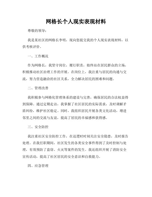 网格长个人现实表现材料