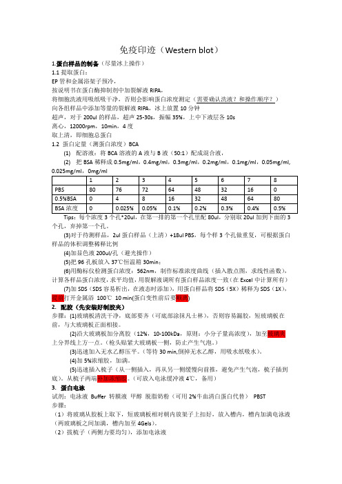 做Weston blot 操作步骤