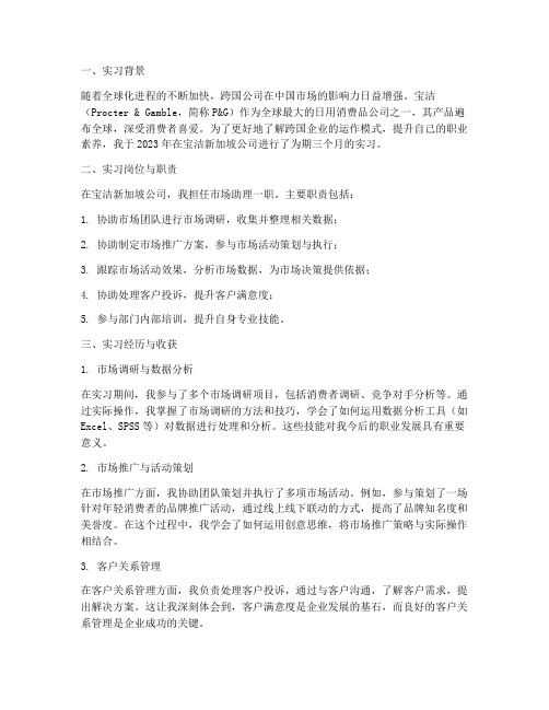 宝洁新加坡公司实习报告