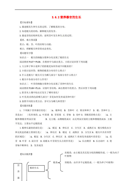 七年级生物上册 3.6.2 营养器官的生长导学案 (新版)北师大版
