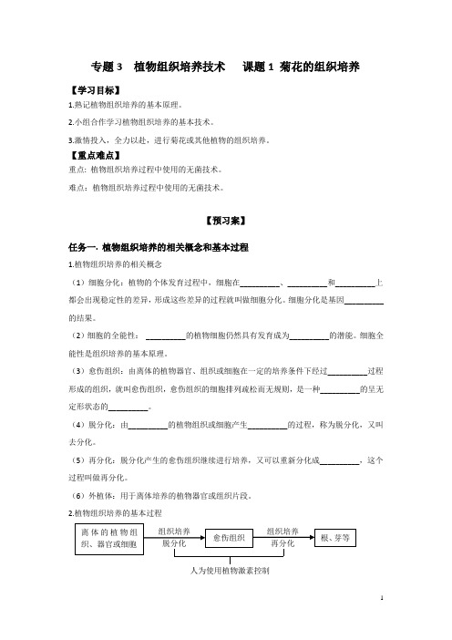 人教版高中生物选修一学案专题3 课题1 菊花的组织培养