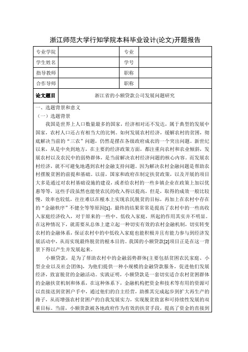 小额货款-开题报告