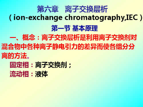 生化技术第六章 离子交换层析