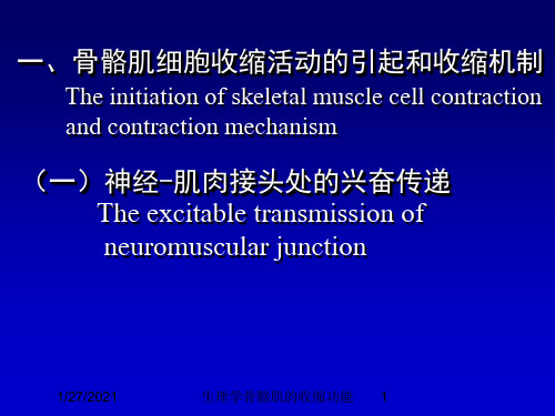 生理学骨骼肌的收缩功能培训课件