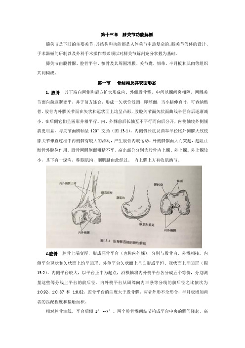 膝关节功能解剖