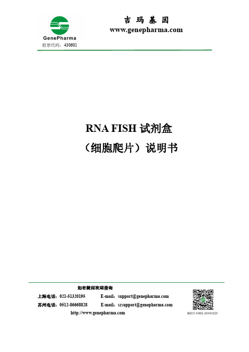 吉玛基因 RNA FISH 试剂盒 (细胞爬片) 说明书