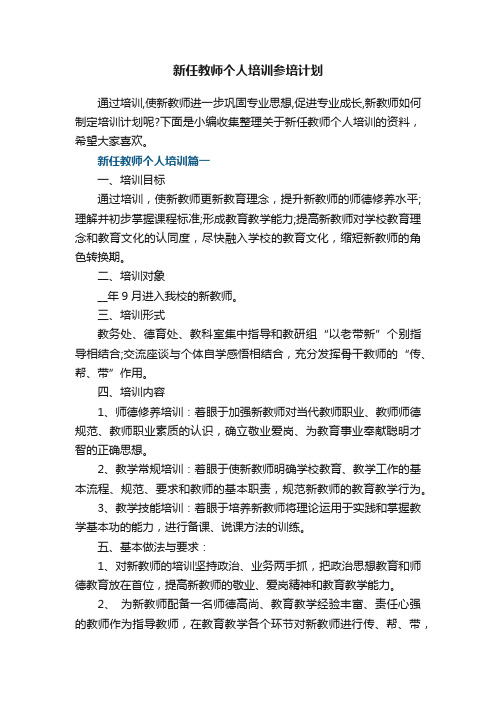 新任教师个人培训参培计划