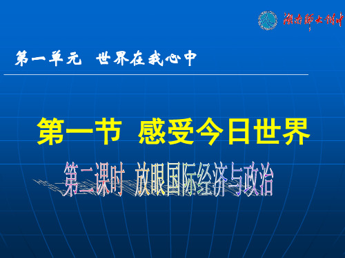 第二课时----放眼国际经济与政治