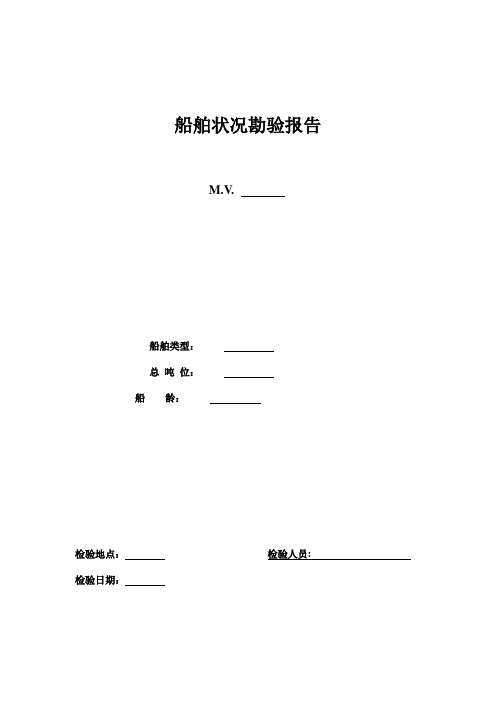 船舶勘验研究报告模板(表格模板、DOC格式)