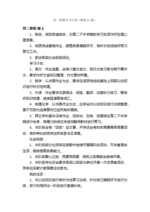 高二寒假学习计划（精选14篇）