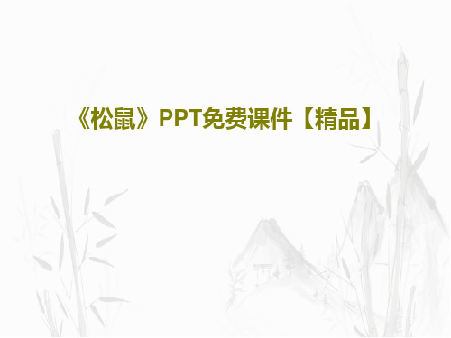 《松鼠》PPT免费课件【精品】34页PPT