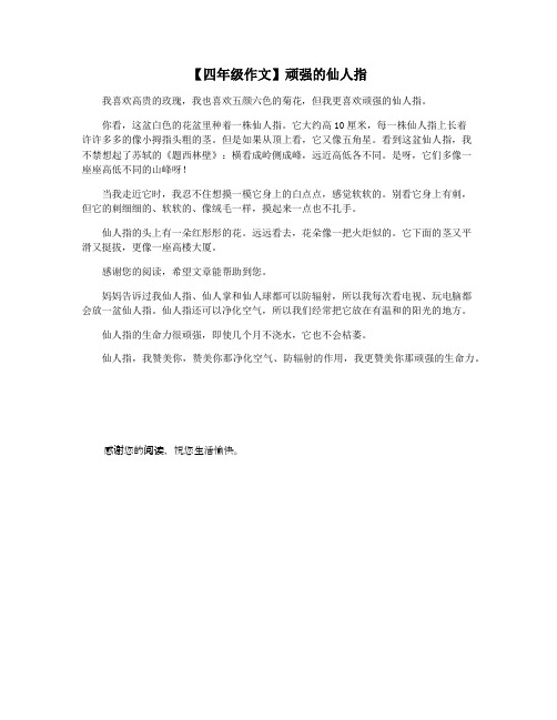 【四年级作文】顽强的仙人指