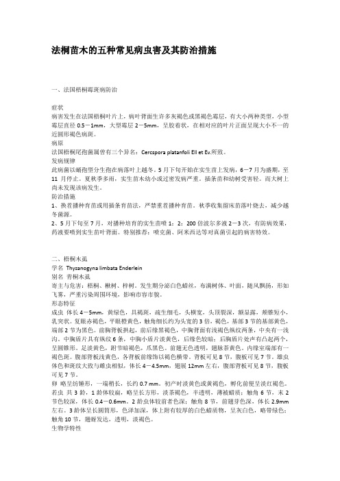 法桐苗木的五种常见病虫害及其防治措施