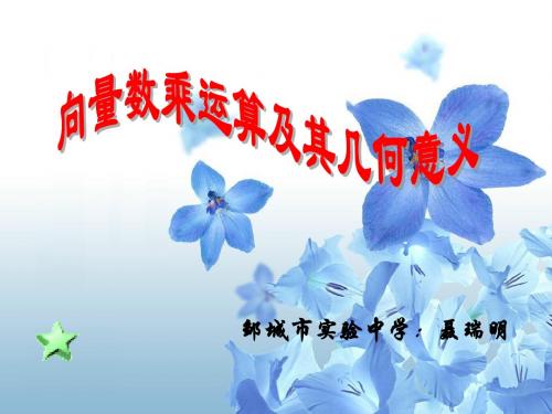 向量数乘运算及其几何意义
