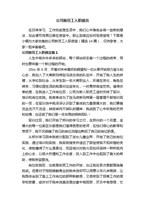 公司新员工入职感言（精选14篇）