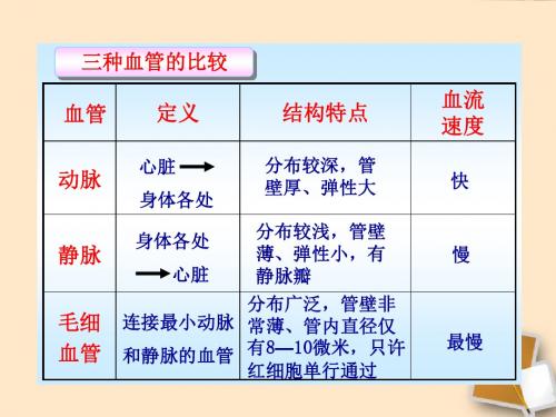 七下 人教版 4.4.3输送血液的泵-心脏课件(共34张PPT)