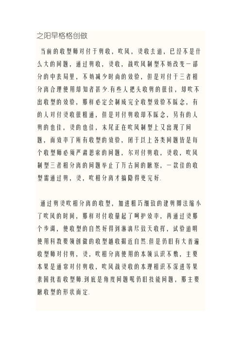 我的美发高级技师论文