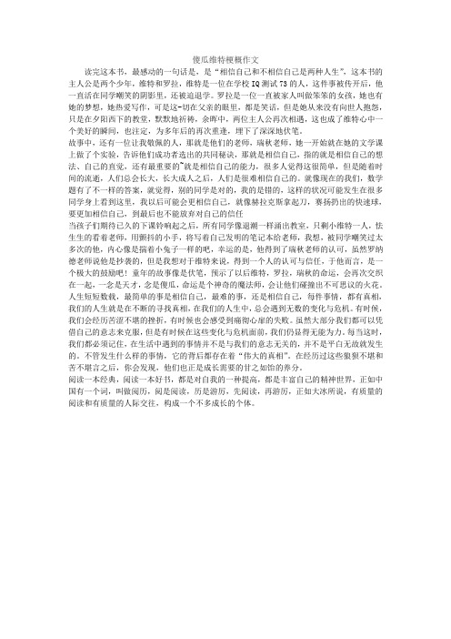 傻瓜维特梗概作文