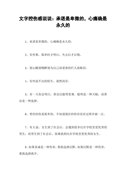 文字控伤感说说:承诺是卑微的,心痛确是永久的