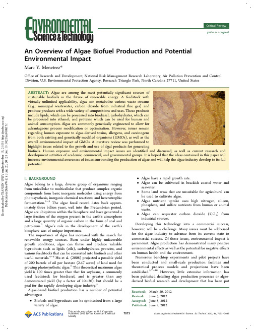 An Overview of Algae Biofuel Production