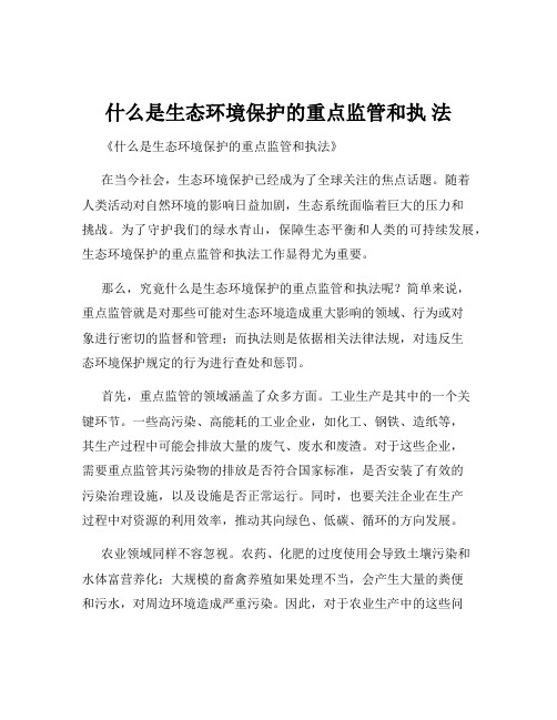 什么是生态环境保护的重点监管和执 法