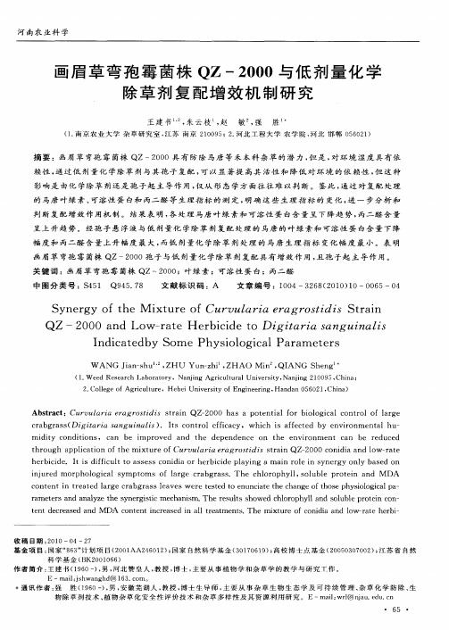 画眉草弯孢霉菌株QZ-2000与低剂量化学除草剂复配增效机制研究