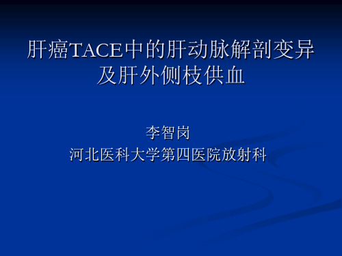 肝癌TACE中的肝动脉变异及肝外侧枝供血汇总.