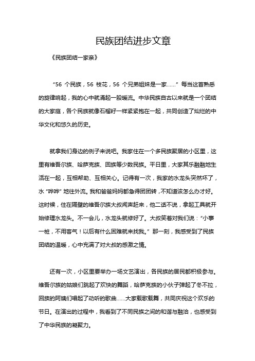 民族团结进步文章