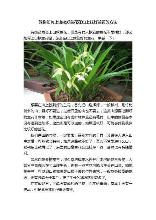 教你如何上山挖好兰花在山上找好兰花的方法