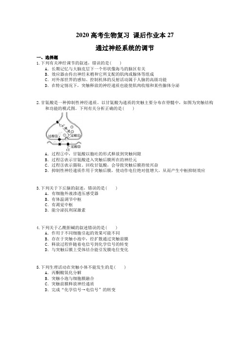 2020高考生物复习 课后作业本27 通过神经系统的调节(含解析)