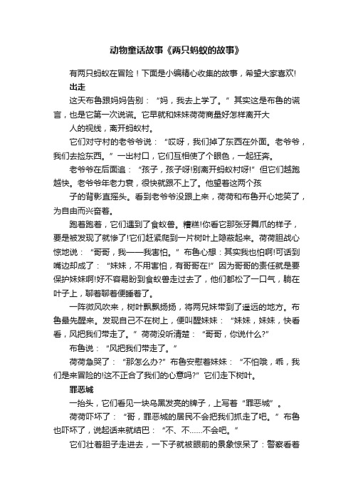 动物童话故事《两只蚂蚁的故事》