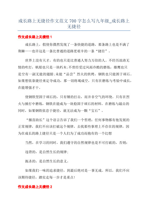 成长路上无捷径作文范文700字怎么写九年级_成长路上无捷径