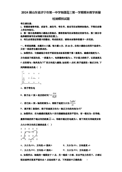 2024届山东省济宁市第一中学物理高三第一学期期末教学质量检测模拟试题含解析