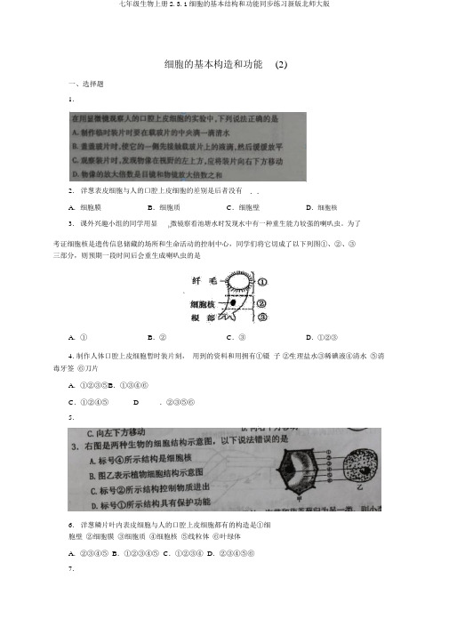 七年级生物上册2.3.1细胞的基本结构和功能同步练习新版北师大版