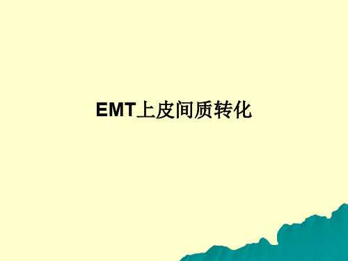 EMT上皮间质转化