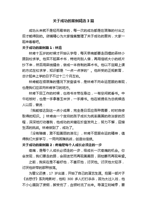 关于成功的案例精选3篇