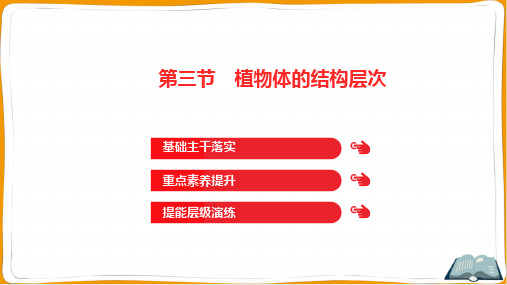 人教版七年级上册生物第二单元生物体的结构层次第二章细胞怎样构成生物体第三节植物体的结构层次