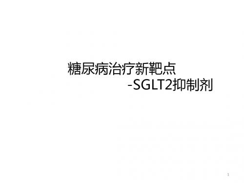 SGLT2类降糖药物ppt课件