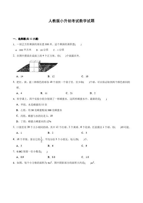 人教版数学六年级小升初考试试题含答案解析