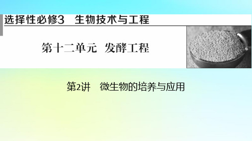 2024版高考生物一轮总复习第十二单元发酵工程第2讲微生物的培养与应用课件